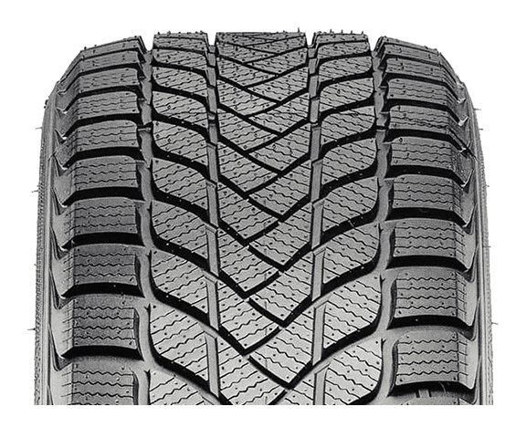 Landsail Winter Lander