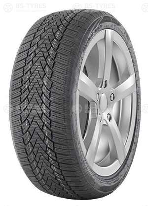 FronWay Icemaster I 255/40 R20 101V