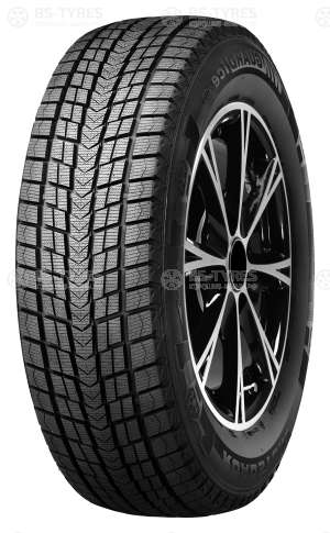Roadstone Winguard Ice 215/60 R16 95Q