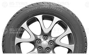 Premiorri ViaMaggiore Z Plus