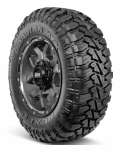 Nexen Roadian MTX RM7